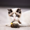 Miniatyrbilde 3 av 4: Interaktive kattefjærleker Melody Chaser Chirpy Bird Cat Toys