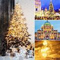 Miniatyrbilde 5 av 5: 50m 1000LEDs Elegear Varme Hvite Utendørs Fe-Lys