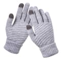 Dam vinterhandskar, stickade handskar, pekskärmshandskar, sport, varma och vindtäta vinterhandskar grey