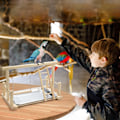 Miniatyrbillede 5 af 5: Træfuglelegeplads Papegøje Legestativ Legeplads Stativ Pinde Stige Sving Platform med Legetøj Træningslegeplads til Undulat, Fugl