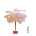 Miniatyrbild 1 av 5: Fjäderbordslampa, konstgjord fjäder LED-skrivbordslampa, laddningsbar