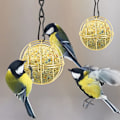 Miniatyrbillede 5 af 5: 2 stk. Metal fedtkugle fugleholder, hængende fuglefoderholder kugleformet med 2 S-formede kroge til udendørs havefugle finker spurv robin