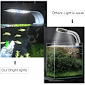 Miniatyrbillede 3 af 5: LED-akvarielampe med hvidt og blåt lys, 2,5A, hvid