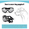 Miniatyrbillede 4 af 5: Hunde Goggles UV-beskyttelse Vandtæt Vindtæt Øjenbeskyttelse Til Store Mellemstore Hunde