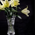 Miniatyrbild 5 av 5: Set med 2 Glasblomvaser, 9,5 tum Stora Blomvaser för Mittstycken, Modern Klar Tjock Kristall Hög Cylinder Utvidgad Vas