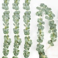 Miniatyrbilde 1 av 5: Kunstig eukalyptusgirlander Falske silke eukalyptusblader Vinstokker Håndlaget girlander Grønt bryllupsbakgrunn Buede veggdekor Green 4Pcs