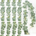 Miniatyrbilde 1 av 5: Kunstig eukalyptusgirlander Falske silke eukalyptusblader Vinstokker Håndlaget girlander Grønt bryllupsbakgrunn Buede veggdekor Green 5pcs