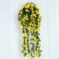 Miniatyrbillede 3 af 5: 2 stk. Kunstige Wisteria Vine Kunstige Hængende Blomster Falske Planter, Udendørs Hjemmedørs Dekoration yellow