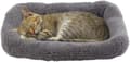 Katteseng Kattungeseng Koselig Myk Liten Dyrepute Vaskbar Seng for Katte rede/hule (42CM X 28CM)