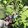 Miniatyrbillede 3 af 5: Havesaks, havesaks, havesaks, bypass-beskærere, beskæringssaks, beskæringssaks, haveværktøj