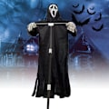Pikkukuva 2 / 5: Aavepuku linnunpelätin lintu pastoraalinen suojaus halloween huuto aave