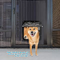 Miniatyrbillede 3 af 5: Ownpets hundedør, indvendig dørklap 24cmB*29cmH, aflåselig kæledyrsdør, magnetisk selvlukkende skærmdør med låsefunktion, robust skærm