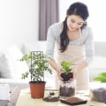 Miniatyrbillede 4 af 5: 1 Stk Sort Månefase Gitter Indendørs Planter Gitter Klatring
