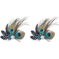 Miniatyrbillede 1 af 5: 2 stk. Mode Peacock Fjer Hårklip Hårnål Aften