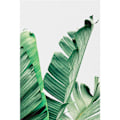 Miniatyrbild 6 av 8: Wekity Botaniska Väggkonst Tryck Set om 3 Tropiska Blad Canvas Dekor Växtblad Boho Väggdekor Bilder Gröna Boho Affischer Konst Set Badrum Vägg A