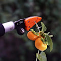 Miniatyrbillede 2 af 5: Teleskopisk grensaks med langt håndtag, havesaks og lang rækkevidde, græstrimmer med håndtag, grenklipper -{sl}