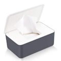 Miniatyrbild 1 av 6: Våtservettsbehållare, babyvåtservettsbehållare, förvaringsbox för våtservetter, toalett{EE}