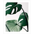 Miniatyrbild 5 av 8: Wekity Botaniska Väggkonst Tryck Set om 3 Tropiska Blad Canvas Dekor Växtblad Boho Väggdekor Bilder Gröna Boho Affischer Konst Set Badrum Vägg A