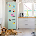 Pikkukuva 4 / 7: Magneettiset kuvakkeet (15 kpl, suuret) - 6x4 tuumaa - Valokuvamagneetti jääkaappiin/Magneettiset kuvakkeet jääkaappikuville, suuret Multicolor