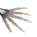 Miniatyrbild 2 av 2: 3D Halloween-tryckta ledade fingrar extensionsdekoration White left hand