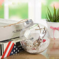 Miniatyrbild 5 av 5: 10 st julgransprydnader i transparent plast silver 10PCS
