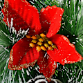 Miniatyrbild 11 av 11: Väggdekoration Julkrans Julgransdekoration Dörrkrans D