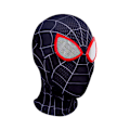 Miniatyrbillede 1 af 2: Edderkop Maske Stealth Fuld Ansigt Hætte Maske Børn Fancy Cosplay Rekvisitter B