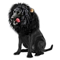 Pikkukuva 1 / 5: Realistinen ja hauska leijonanharja koiralle, lemmikkieläinten vaatteet, asu, cosplay, hieno pukeutuminen S/M/L Black M