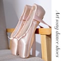 Miniatyrbillede 5 af 5: Kvinders Ballet Flats Sko Snøring Satin Pointe Sko Gave til Ballet Dansere