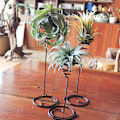 Miniatyrbillede 2 af 5: 3 stk. Metal Air Ananas Stativ Base Blomsterholder Hjem Ba