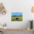 Miniatyrbilde 5 av 5: Bæsjende hunder kalender 2024 Kalender A A