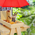Miniatyrbild 4 av 4: Ekorrmatare väderbeständigt ekorre picknickbord trä ekorre matningsbord med paraply-FA5-