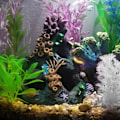 Miniatyrbilde 4 av 4: Huleakvariumdekorasjon for Betta-fisk