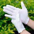 Pikkukuva 8 / 11: 12 parin pehmeät puuvillaiset käsineet, joustavat korut whiteC S12pcs