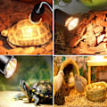 Miniatyrbillede 4 af 5: Reptillampe Glødepære Skildpadde Solende Uv-Lys Pærer Varmelampe Tem