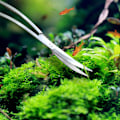 Miniatyrbilde 3 av 5: Akvariesaks med buet hode for vannplanter 24 cm
