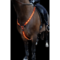 Miniatyrbilde 1 av 4: LED bryststropp for hest. LADDBAR. PONNI/COB