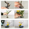 Miniatyrbilde 9 av 11: Blomsterfakir Kenzan Pin Holder Nål Ikebana Mix 3 L 2-Pack