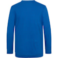 Miniatyrbillede 2 af 2: AWDis Academy Børne/Junior V-hals Skoletrøje/Sweatshirt Royal Blå 13 Years Royal Blue