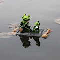 Miniatyrbillede 11 af 11: Harts flydende frø prydgenstand dyrestatue frø E