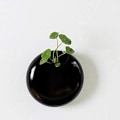 Miniatyrbild 3 av 5: Vattenhyacint Staty Hemträdgårdsdekoration Prydnadsföremål Tillbehör