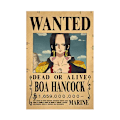 Pikkukuva 8 / 8: 10 kpl Juliste One Piece Wanted Juliste Luffy Paper decor 10 pcs/set