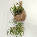 Miniatyrbild 5 av 5: Väggmonterad frukt- och grönsakskorg, handvävd jute droppformad frukt- eller grönsakskorg, kök hängande förvaringskorg (H14cm, B
