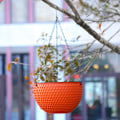 Miniatyrbild 1 av 10: Blomkruka Hemma Trädgård Balkong Hängande Växtkruka Krok Korg Hängande Kruka Blomväxtkrukor Röd Red Small