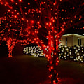Miniatyrbild 4 av 5: Ljusstake med 200 LED-lampor, 20 meter lång, för julbelysning Red-FA6- Red 400 LED