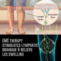 Miniatyrbild 5 av 11: Elektrisk EMS Fotmassage Pad Fötter Akupunktur Stimulator Massag remote control One-size