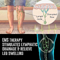 Miniatyrbillede 5 af 5: Elektrisk EMS Fodmassage Pad Fødder Akupunktur Stimulator Massag remote control One-size