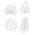 Miniatyrbilde 7 av 10: 4 stk Cookie Embosser Mold Biscuit Mold Agave Ivy