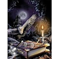 Pikkukuva 1 / 4: Timanttimaalaus 40x30 cm Taikuri Harry Potter Diamantmaalaus multicolor 137