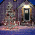 Miniatyrbilde 4 av 5: Utendørs julebelysning 8 julegodterilys Sol Chris